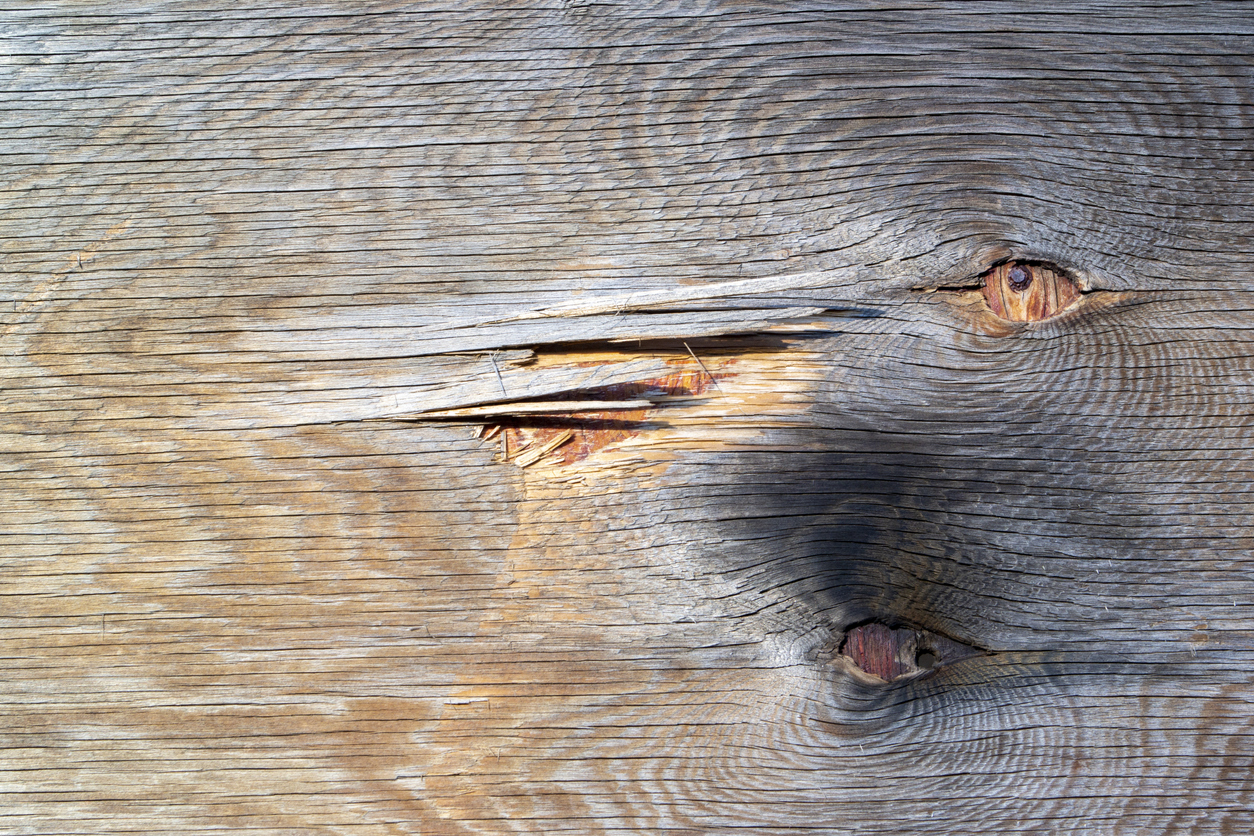 Choosing the best wooden sign panels for your Project